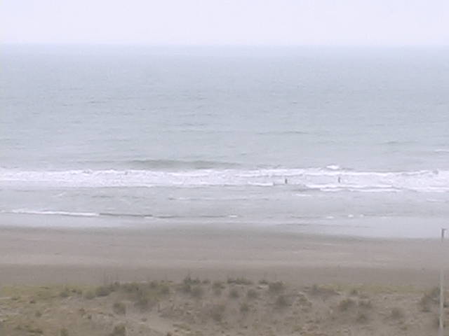 still image